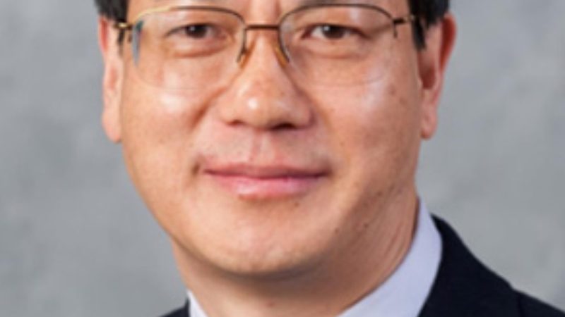 二极管正负极识别：实用技巧与误区解析**