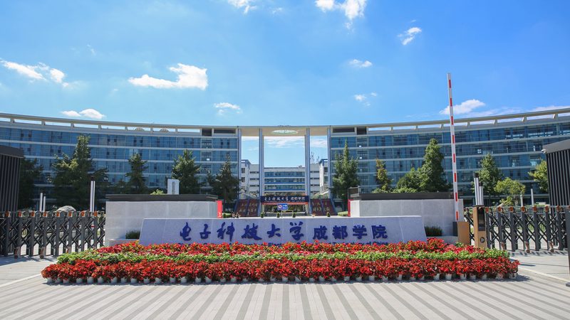 揭秘成都电子代工生产厂家：价格背后的考量因素